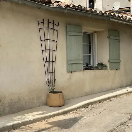 Joli Mazet à Au Cœur De La Garrigue